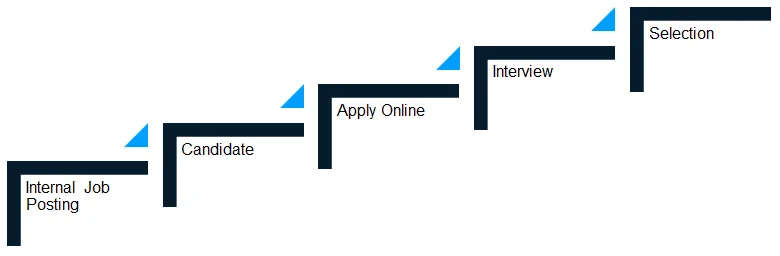 Internal Job Posting Process