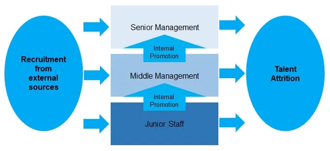 Talent needs can be fulfilled by either external recruitment or internal development