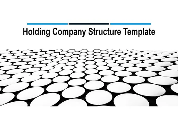 Holding Company Structure Template