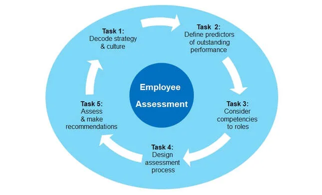 5 Tasks in the Employee Assessment Program